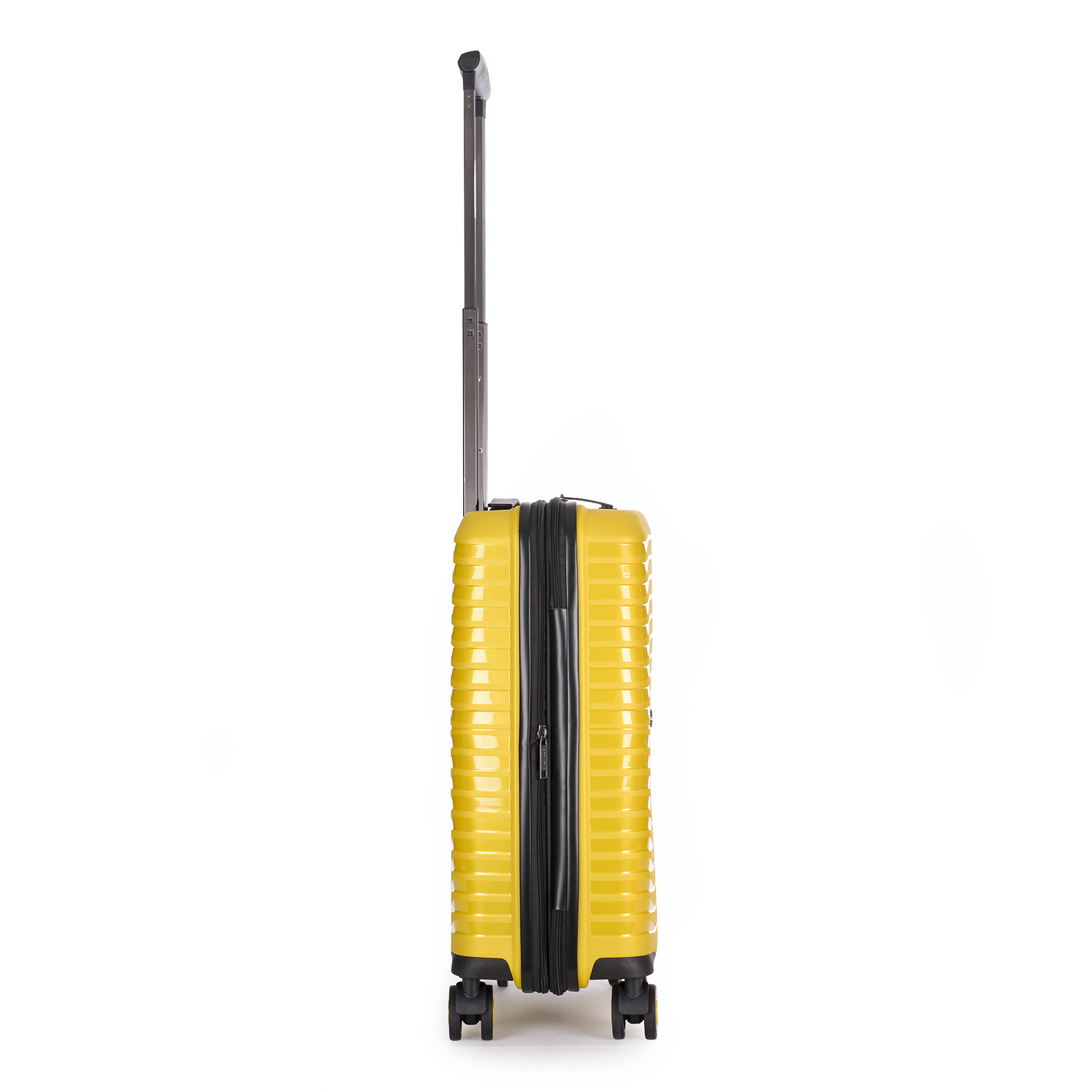 Stratic Bright Plus 4 Rollen Gr. S 56 cm Yellow Gold