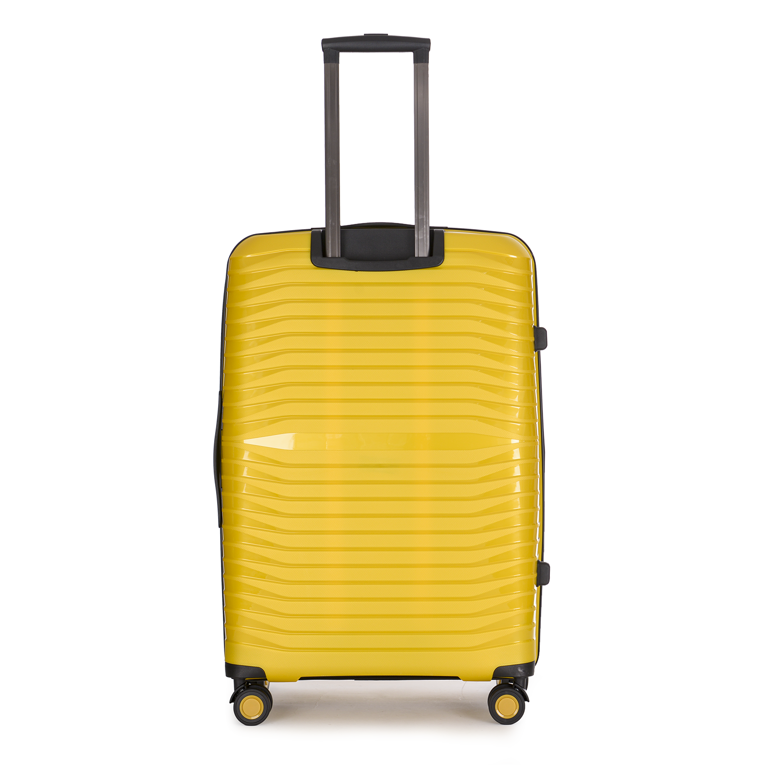 Stratic Bright Plus 4 Rollen Gr. L 76 cm Yellow Gold